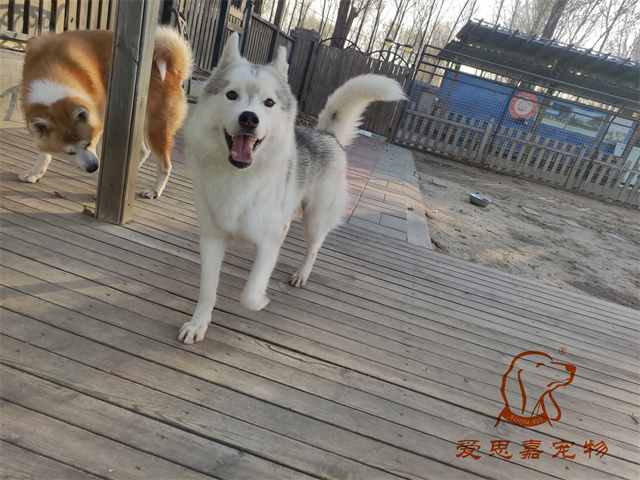 大熊小七 (3).jpg