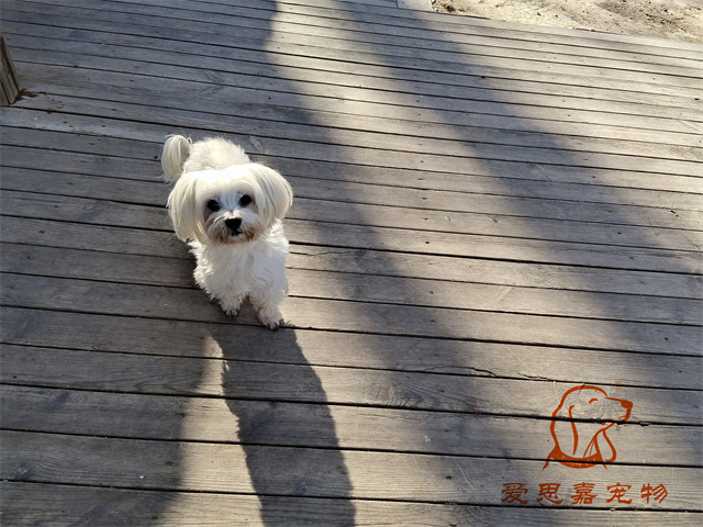 樂樂夯夯 (2).jpg