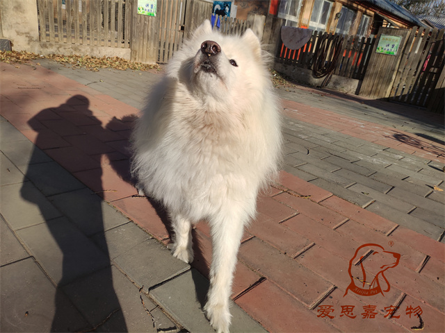 三兒 (2).jpg