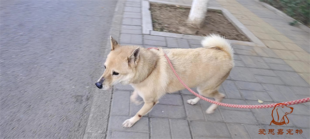 蛋黃 (3).jpg