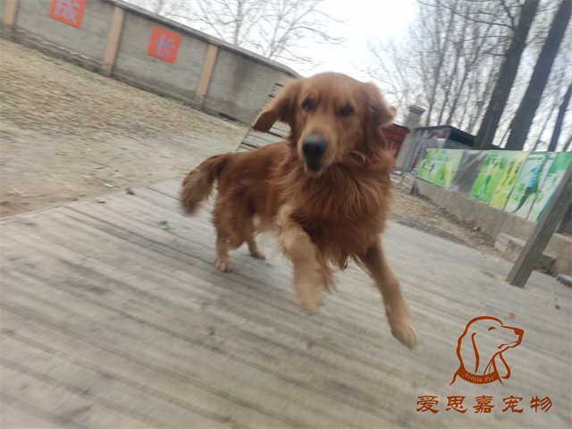 Gary (1).jpg