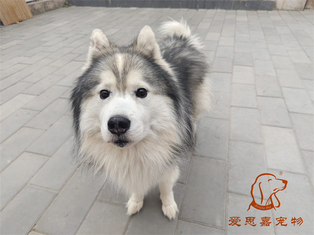 極光 (1).jpg