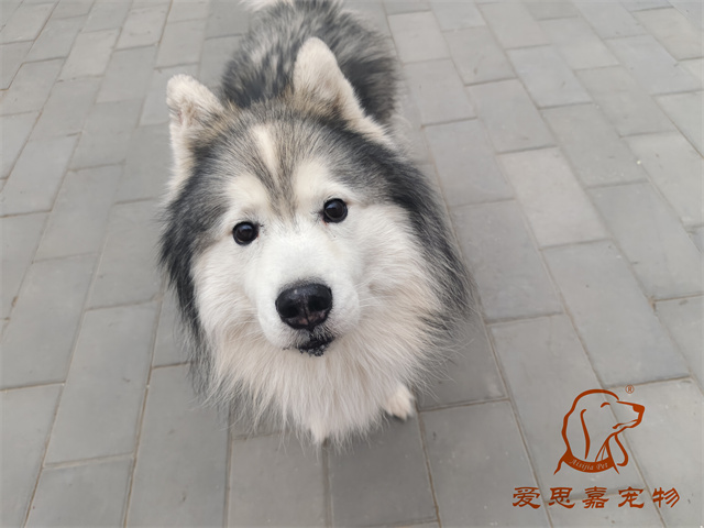 極光 (2).jpg