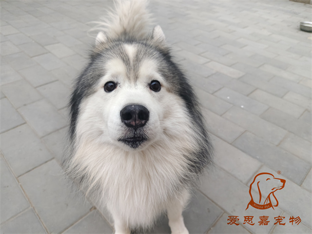 極光 (3).jpg