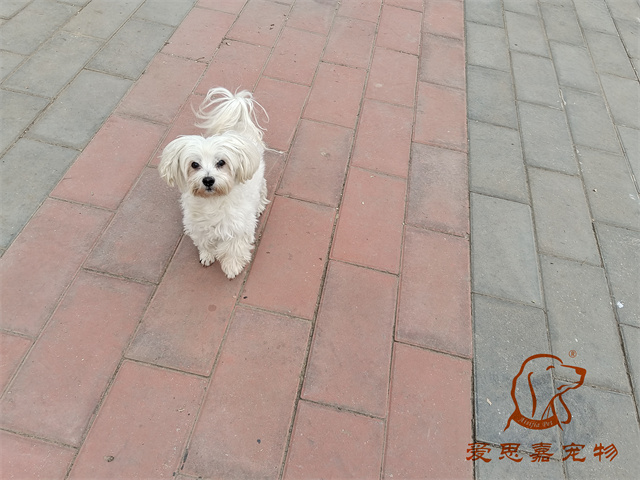 樂樂夯夯 (2).jpg