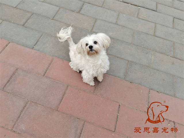 樂樂夯夯 (6).jpg