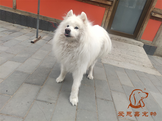 三兒 (1).jpg