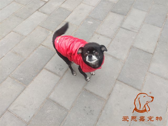 小白 (4).jpg