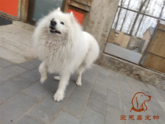 三兒 (1).jpg