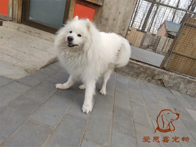 三兒 (2).jpg