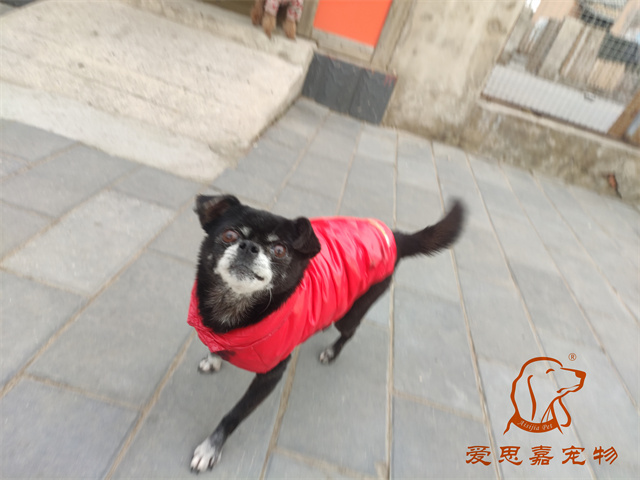 小白小黑 (5).jpg