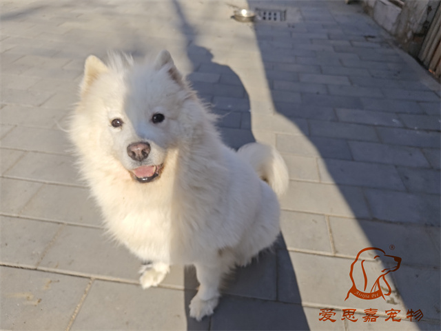 豆芽 (1).jpg