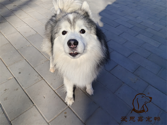 極光 (1).jpg