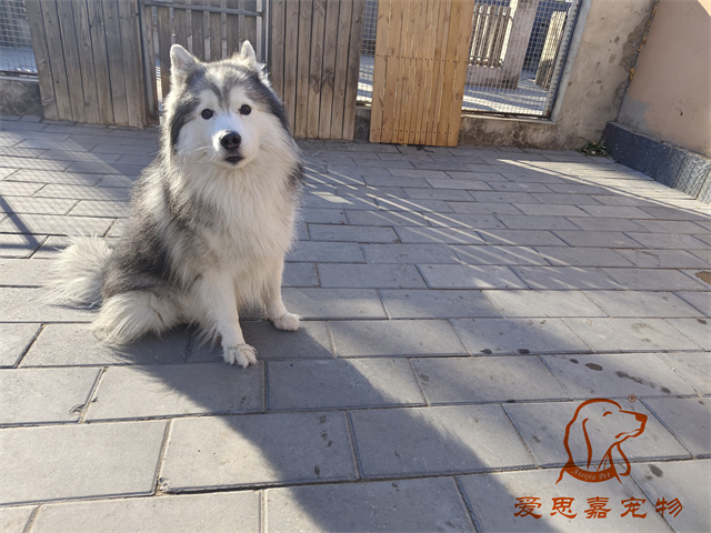 極光 (2).jpg