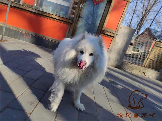 三兒.jpg