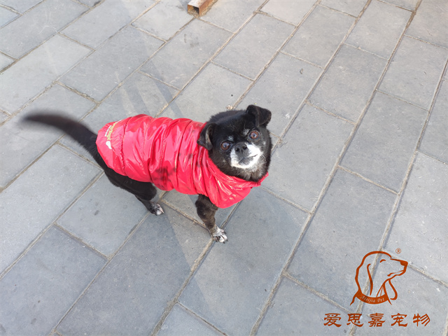 小白小黑 (6).jpg
