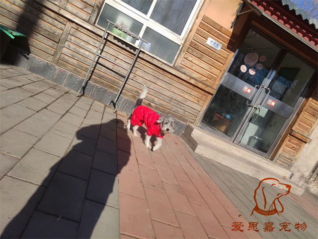 胖丫 (1).jpg
