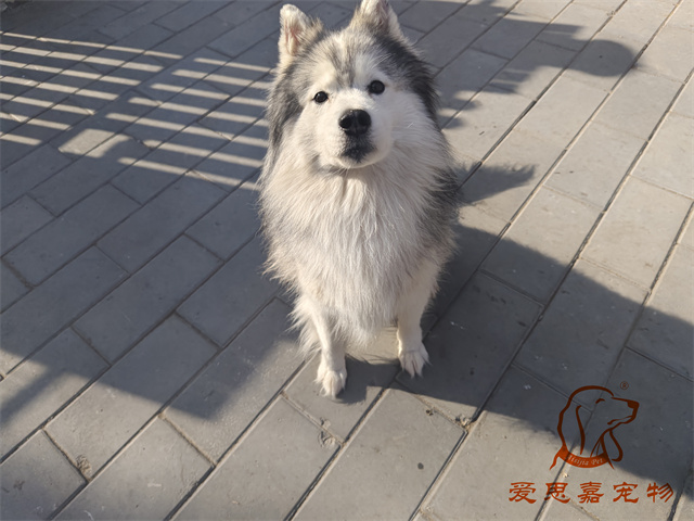 極光 (3).jpg
