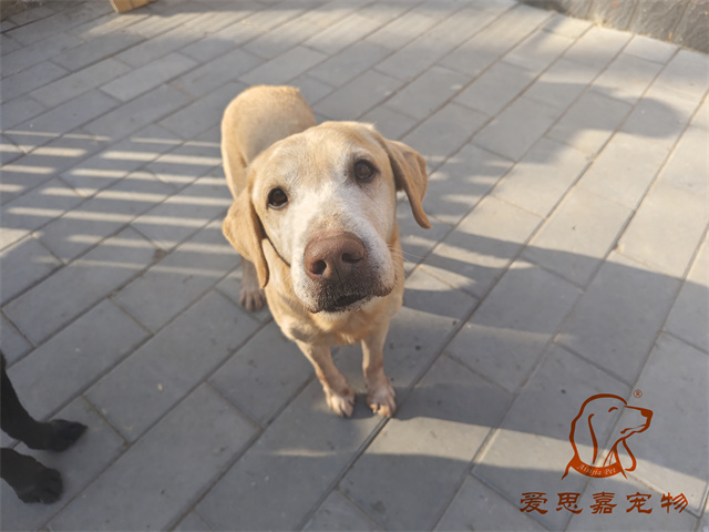 拉瑞 (1).jpg