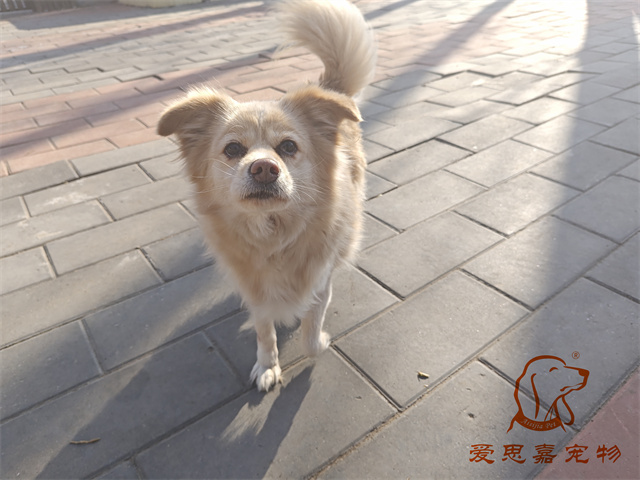 歐尼 (2).jpg