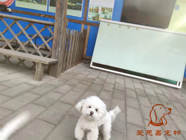 逗逗貝殼 (1).jpg
