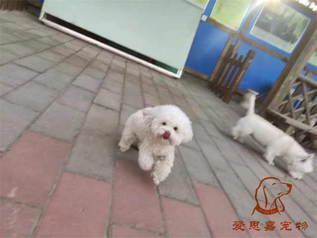 逗逗貝殼 (2).jpg