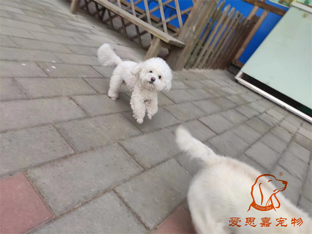 逗逗貝殼 (3).jpg