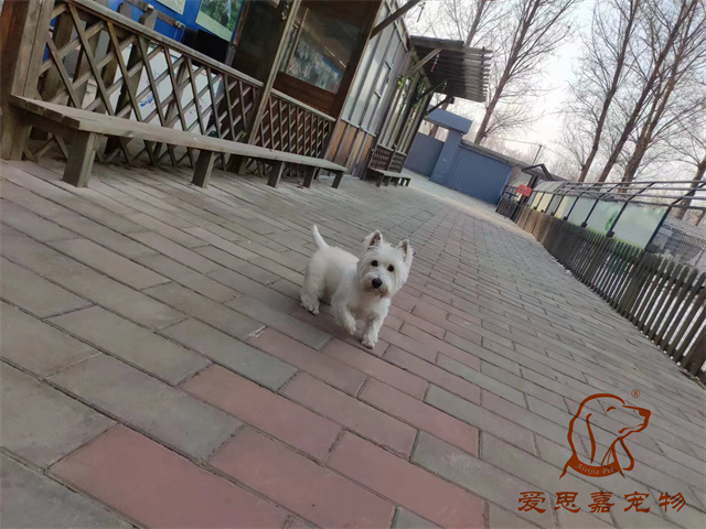 逗逗貝殼 (4).jpg