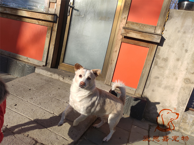 一哥 (1).jpg