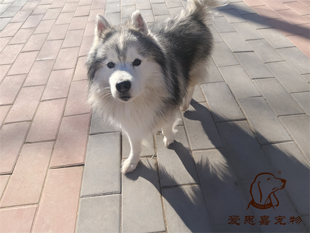極光 (1).jpg