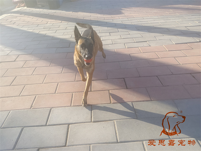 樂樂 (1).jpg