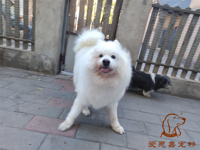 三兒 (1).jpg