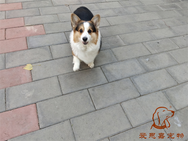 三鮮 (1).jpg