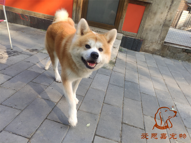 大熊小七 (1).jpg