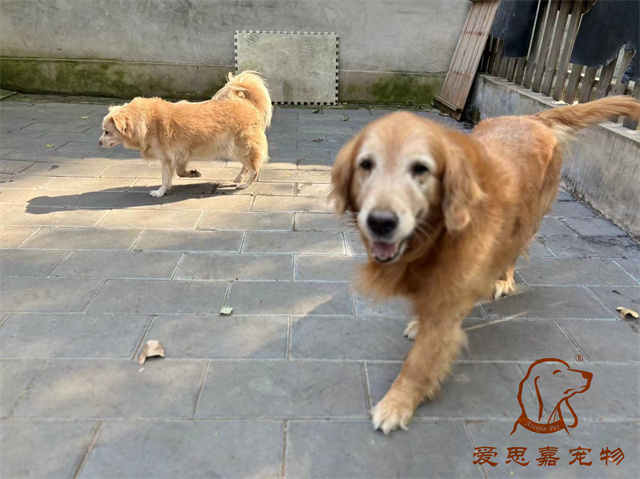 瘋子 (1).jpg