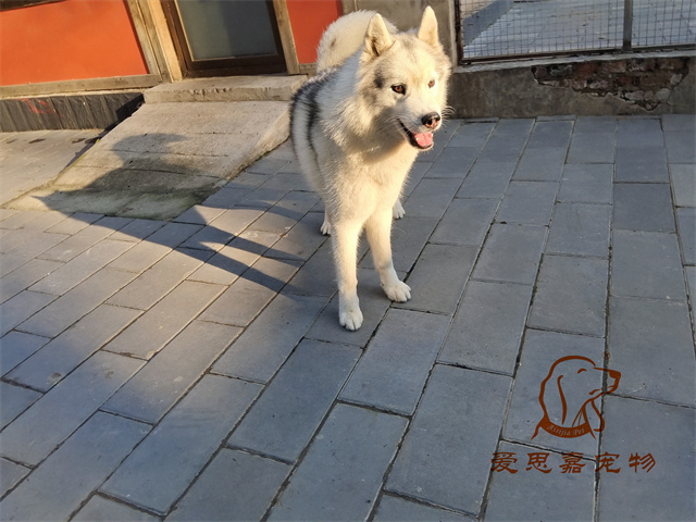 大熊 小七 (1).jpg