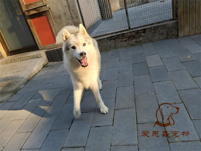 大熊 小七 (3).jpg