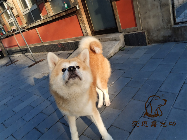 大熊 小七 (4).jpg