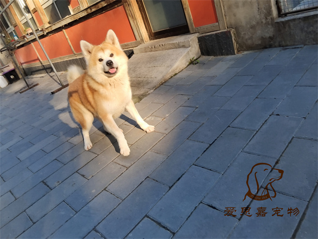 大熊 小七 (5).jpg