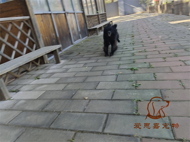 唐唐 一家 (2).jpg