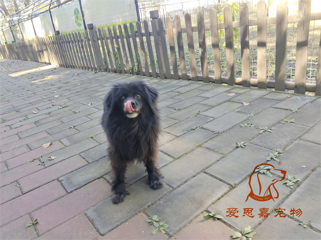 唐唐 一家 (4).jpg