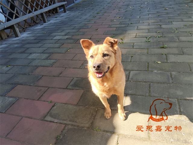 唐唐 一家 (5).jpg