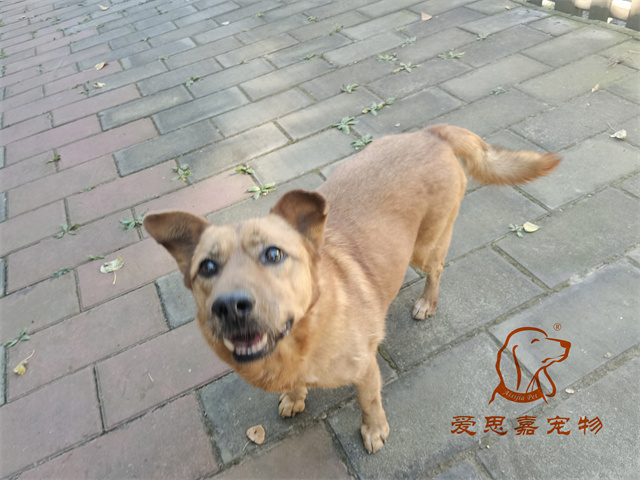 唐唐 一家 (6).jpg
