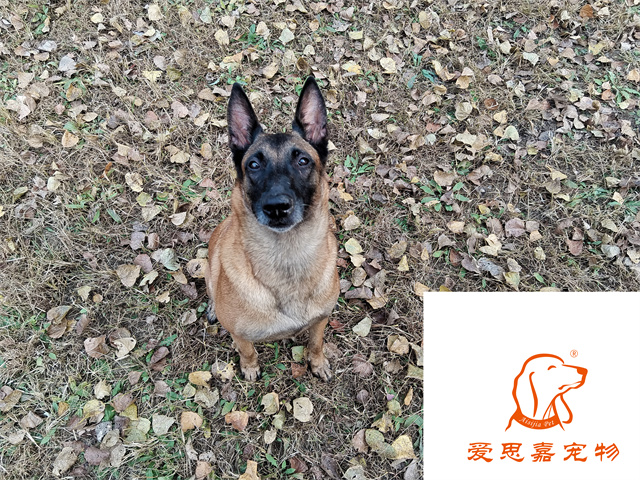 樂(lè)樂(lè) (1).jpg