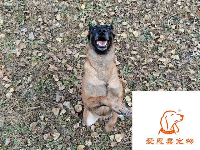 樂(lè)樂(lè) (2).jpg