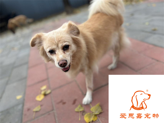 歐尼.jpg