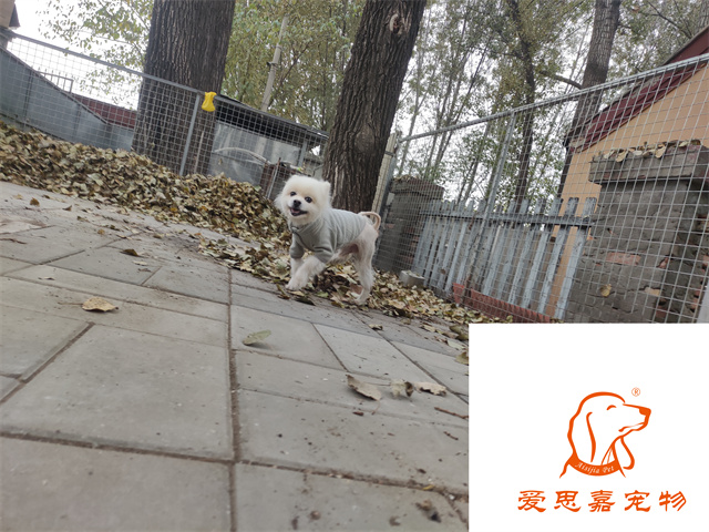 小白小黑 (1).jpg