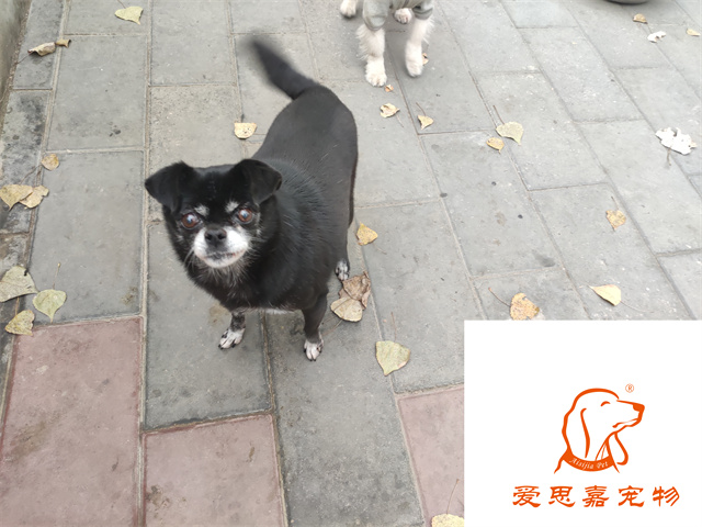 小白小黑 (3).jpg