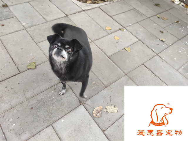 小白小黑 (5).jpg