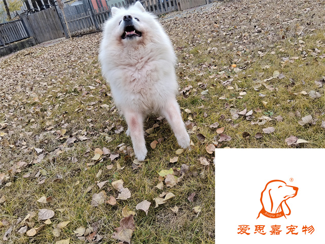 熊熊 (1).jpg